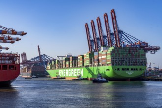 Container ship Ever Gifted, arriving at the port of Hamburg, Waltershofer Hafen, HHLA Container