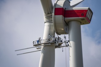 Maintenance work, repairs to a rotor of an Enercon wind turbine, in a wind farm east of Bad