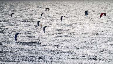 Kitesurfers and windsurfers in strong winds on the beach of Scheveningen, The Hague, Netherlands