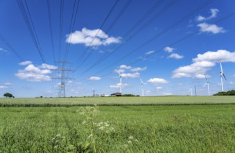 Wind farm near Brilon-Radlinghausen, high-voltage power lines, Sauerland, North Rhine-Westphalia,