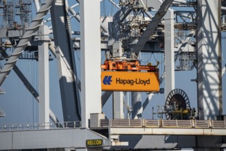 Container loading in the seaport of Rotterdam, Maasvlakte 2, Container Terminal, in Rotterdam