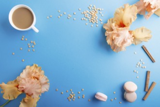 Orange iris flowers and a cup of coffee on a blue pastel background. Morninig, spring, fashion