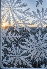 Detailed close-up of frost patterns on a glass window, AI generated