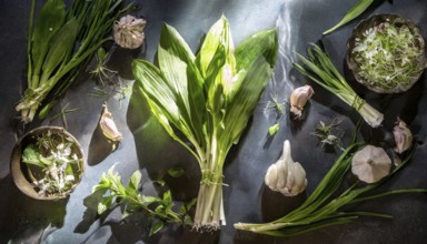 Various fresh herbs and vegetables artfully arranged on a surface with shadow play, wild garlic,