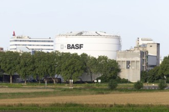 BASF, Lugwigshafen am Rhein, industrial area, Mannheim, Baden-Württemberg, Germany, Europe