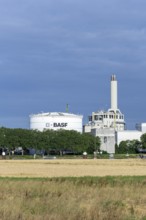 BASF, Lugwigshafen am Rhein, industrial area, Felder, Mannheim, Baden-Württemberg, Germany, Europe