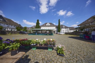 Market square with a flower stand in the Margarethenhöhe housing estate, Essen, Ruhr area,