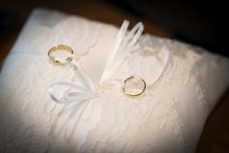 Wedding rings on an ornate white cushion