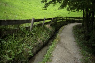 Hiking trail, Schenner Waalweg, Neuwaal, stream, long exposure, Schenna, Scena, South Tyrol,