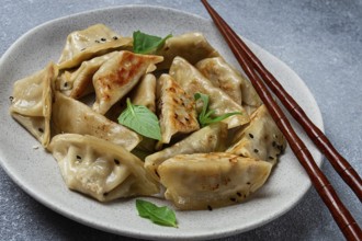 Japanese fried dumplings, gyoza, sesame seeds, top view, no people