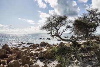 Lonely beach, Spiaggia di Biderosa, Riserva Biderosa nature reserve, Orosei, Nuoro province, east