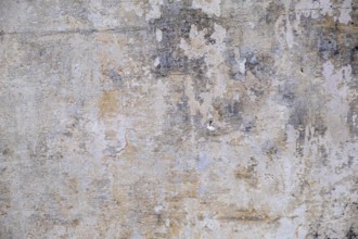 House facade, house wall, house wall, background, texture, Galatina, Apulia, Italy, Europe