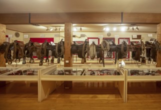 Craig, Colorado - Saddles on display at the Museum of Northwest Colorado's Cowboy and Gunfighter