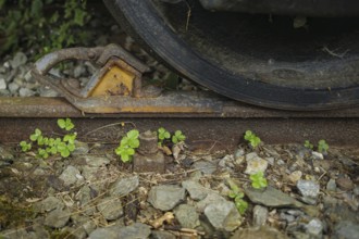 Symbolic photo on the subject of standstill in railway traffic. A brake shoe stands in front of the