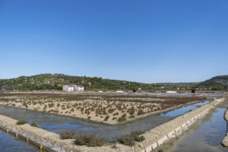 Strunjan Landscape and nature park Park, salt pans with salt pans houses, Strunjan, Slovenia,