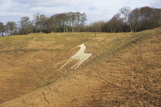 White Horse in chalk escarpment hillside, Cherhill, Wiltshire, England, UK