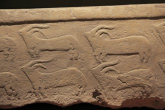 Carved stone goat pattern design, National Museum of Archaeology, Valletta, Malta, Europe