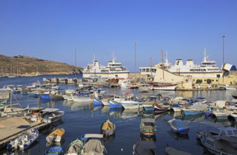 Colourful boats in harbour ferry port terminal at Mgarr, island of Gozo, Malta, Europe