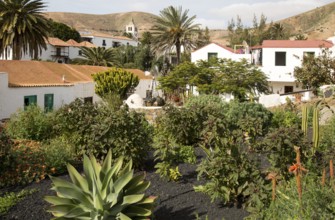 Historic village and church tower Iglesia de Santa Maria, Betancuria, Fuerteventura, Canary