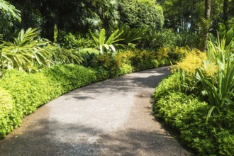 Garden path with a frame of yellow orchids in botanical garden