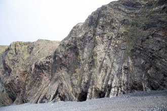 Complex folding of sedimentary rock strata in coastal cliffs at Hartland Quay, north Devon,