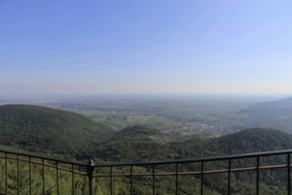 View of the Rhine plain from the summit plateau of the Orensberg (southern Wine Route)