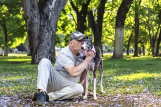 A mature bald man is looking and sitting with his greyhound dog in the park, hugging him and giving