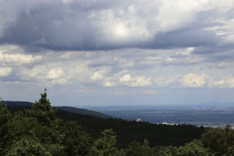 Panorama of the Palatinate Forest