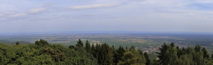 Panorama of the Palatinate Forest