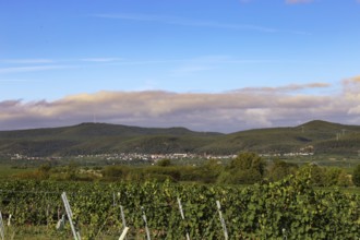 Panorama from the Haardtrand with a view of the Palatinate Forest