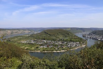 The Rhine bend near Boppard, Rhineland-Palatinate