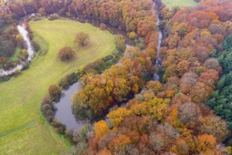 Aerial view of the Hunte in autumn, Meander, Hunte loop, Hunte, river, tree, forest, autumn