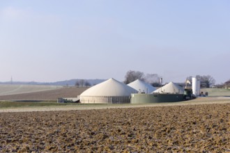 Symbolic image, energy transition, biogas plant near Backnang, arable farming, field,