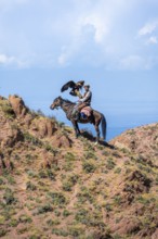 Traditional Kyrgyz eagle hunter with eagle in the mountains, hunting on horseback in front of dry