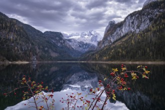 The Vordere Gosausee lake in autumn with a view of the Dachstein mountain range. The Gosaukamm on