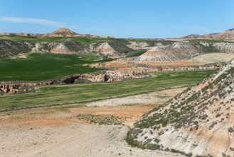 Green fields and dry hills under an azure blue sky in a vast landscape, Bardenas Reales Natural