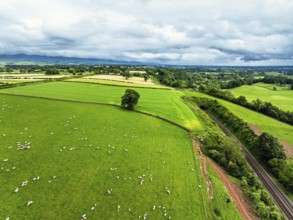 Farms and Fields over River Eden and River Eamont from a drone, Cumbria, England, United Kingdom,