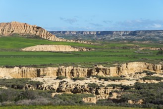 Grassy green fields and rocky mountain ranges under a clear and sunny sky, Bardenas Reales Natural