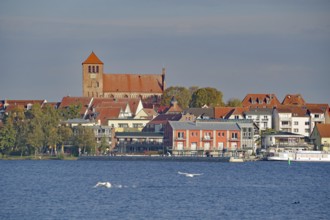 Town view with church and red roofs directly on the water, Tourism, Waren Mecklenburg-Vorpommern,