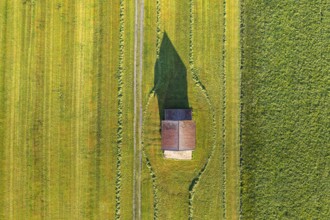 Aerial view of a hut and a mown meadow, sunny, agriculture, Alpine foothills, Upper Bavaria,