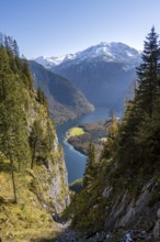 View of the Königssee from the Rinnkendlsteig mountain hiking trail, autumnal forest and