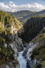 Mountain landscape with river in a gorge, Little Naryn or Kichi-Naryn, Eki-Naryn gorge, Naryn