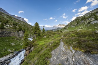 Mountain landscape with mountain stream Zemmbach, behind mountain peak Kleiner Mörcher, Berliner