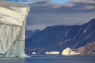 Sailing boat, ship in fjord in front of large icebergs and mountains, evening light, Scoresby