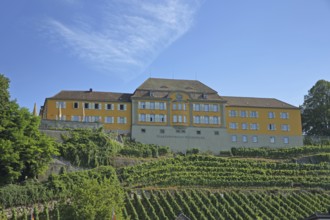 Former riding centre and present state winery with vineyards, winery, palace, Meersburg, Obersee,