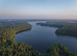 Aerial view of Lake Rospuda in the evening in northern Poland. Augustow, Podlaskie, Poland, Europe