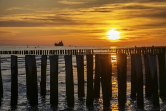 Sunset on the beach of Zoutelande, beach with wooden pile breakwaters, cargo ship sailing towards