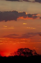 African sunset, sun, evening sky, romantic, romance, longing, emotion, travel, holiday, red sky,