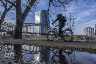 Building of the European Central Bank, ECB, cycle path on the Main in Frankfurt, Hesse, Germany,