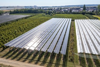 Agri-photovoltaic test plant, an apple orchard with two different systems of PV modules was roofed